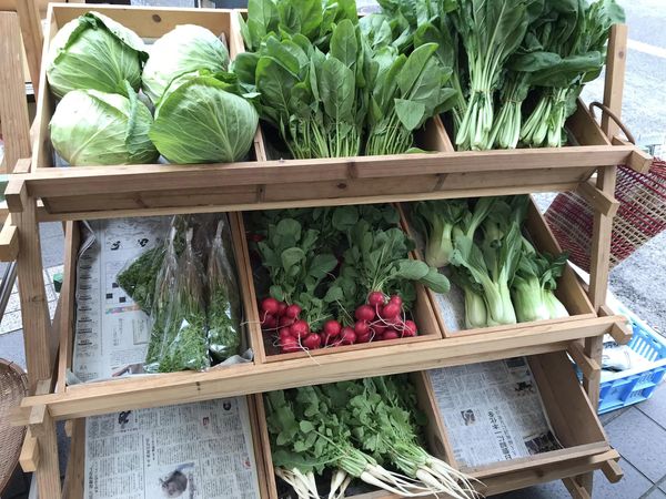 画像の説明を入れてください